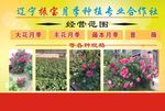 宣传彩页
