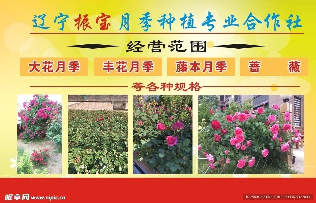 宣传彩页