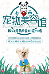 宠物美容馆