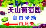 葡萄园