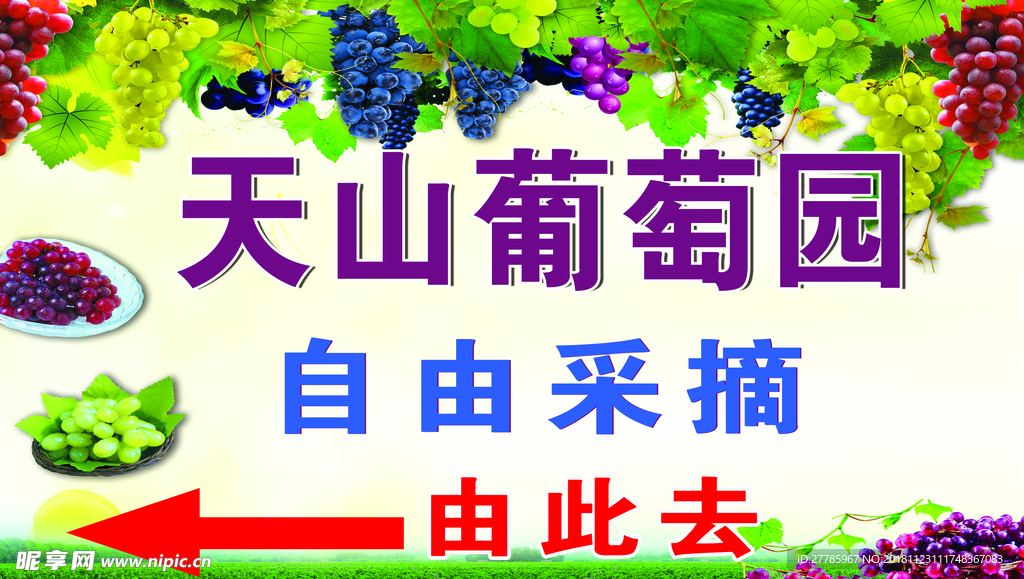 葡萄园