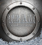 TEAM logo 英文