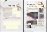 中国风单页