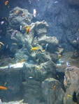 海底世界