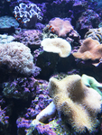 海底世界