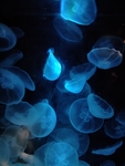 海底世界