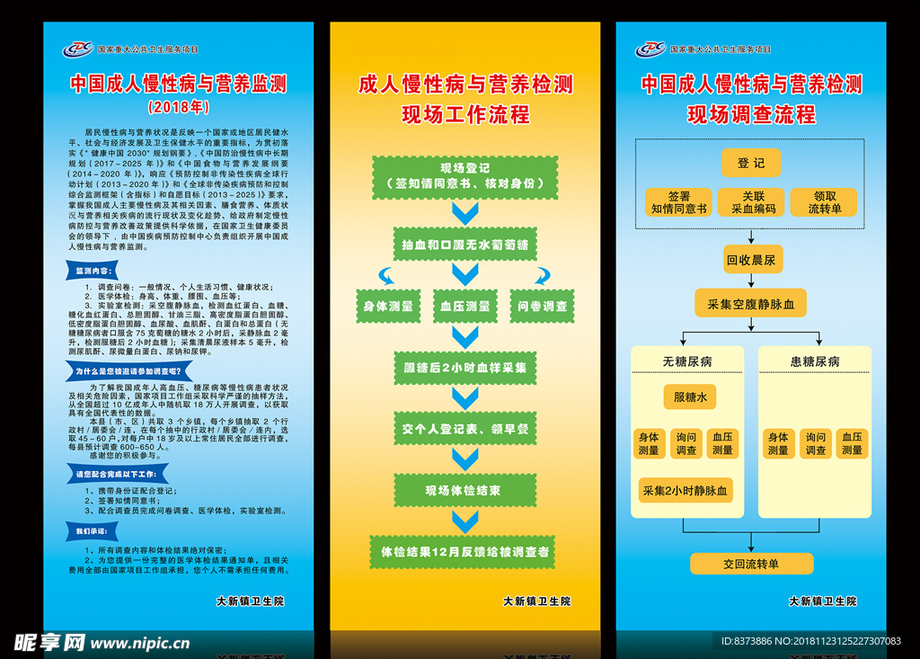 成人慢性病与营养监测