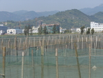 太姥山