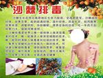 沙棘排毒海报