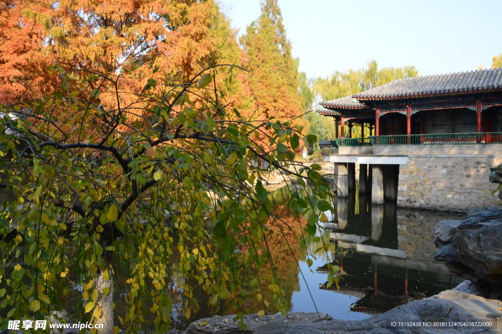 中山公园秋韵