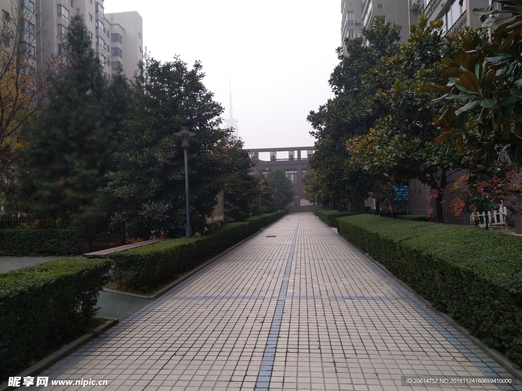 城市公园风景