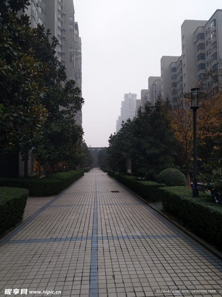城市公园风景