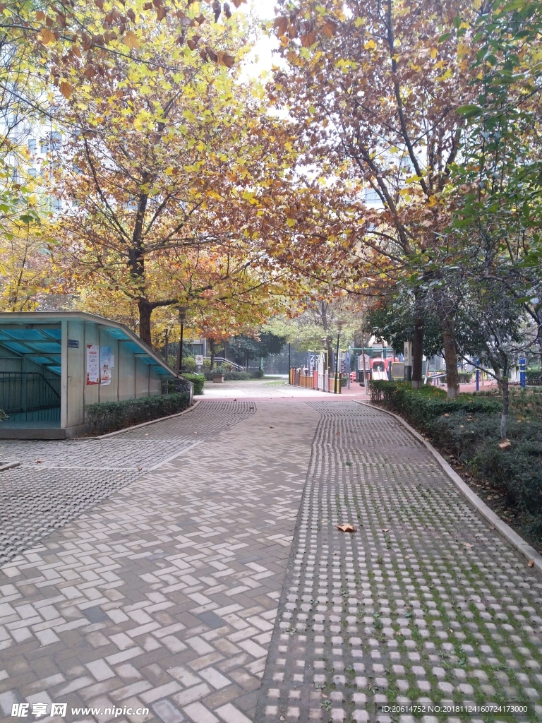 公园风景