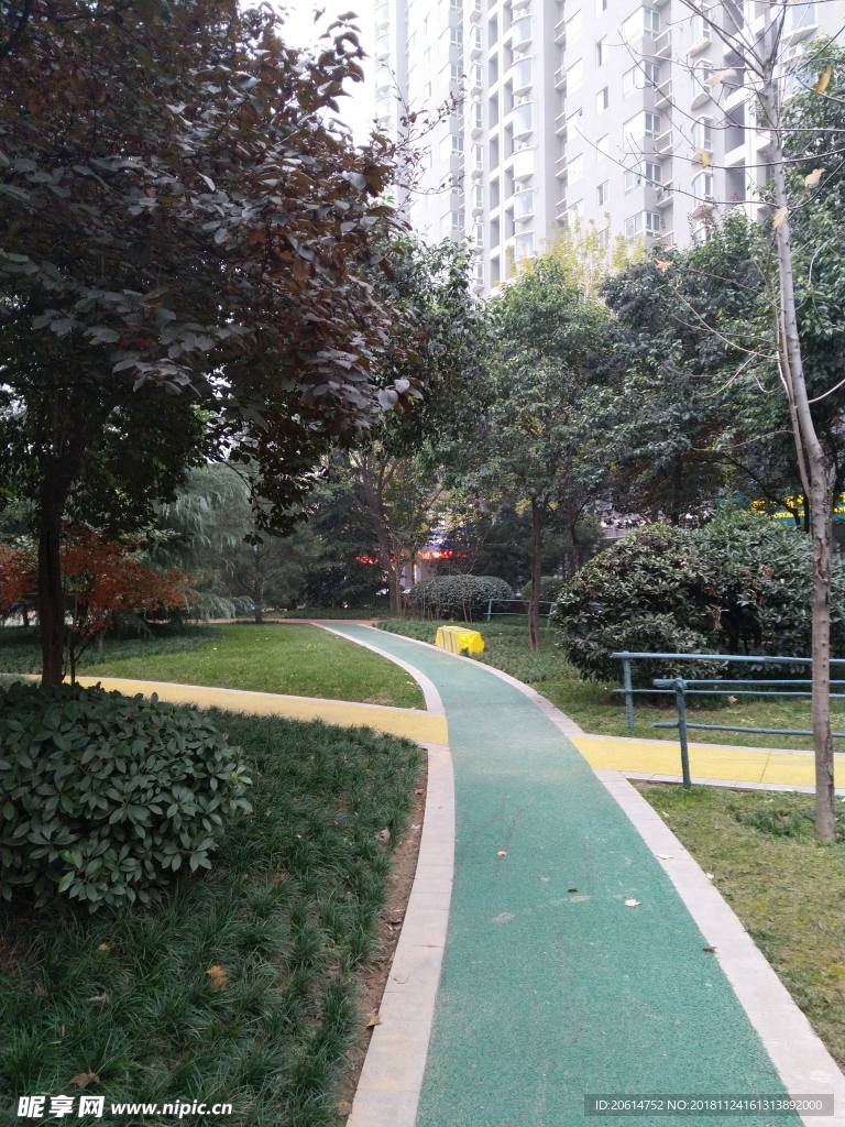 城市公园风景