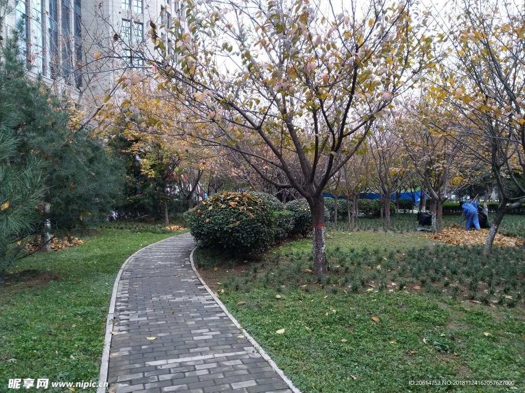 城市公园风景