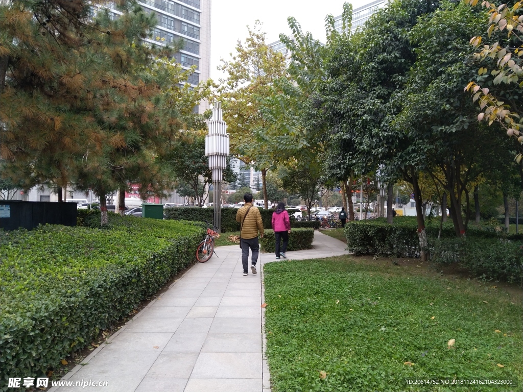 城市公园风景