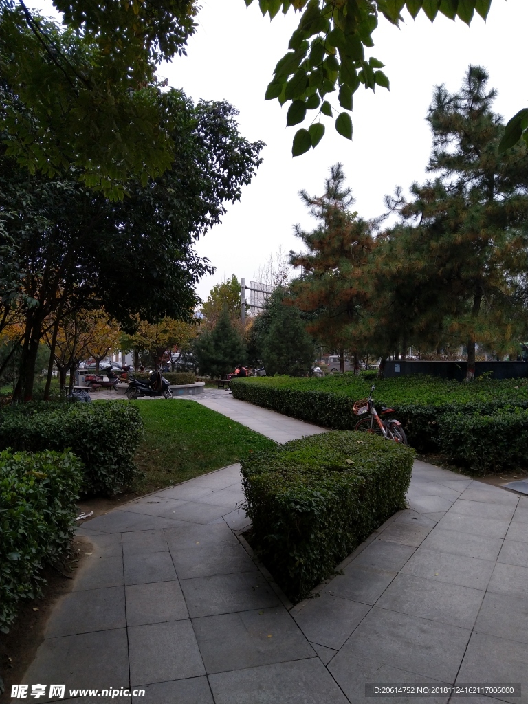城市公园美景