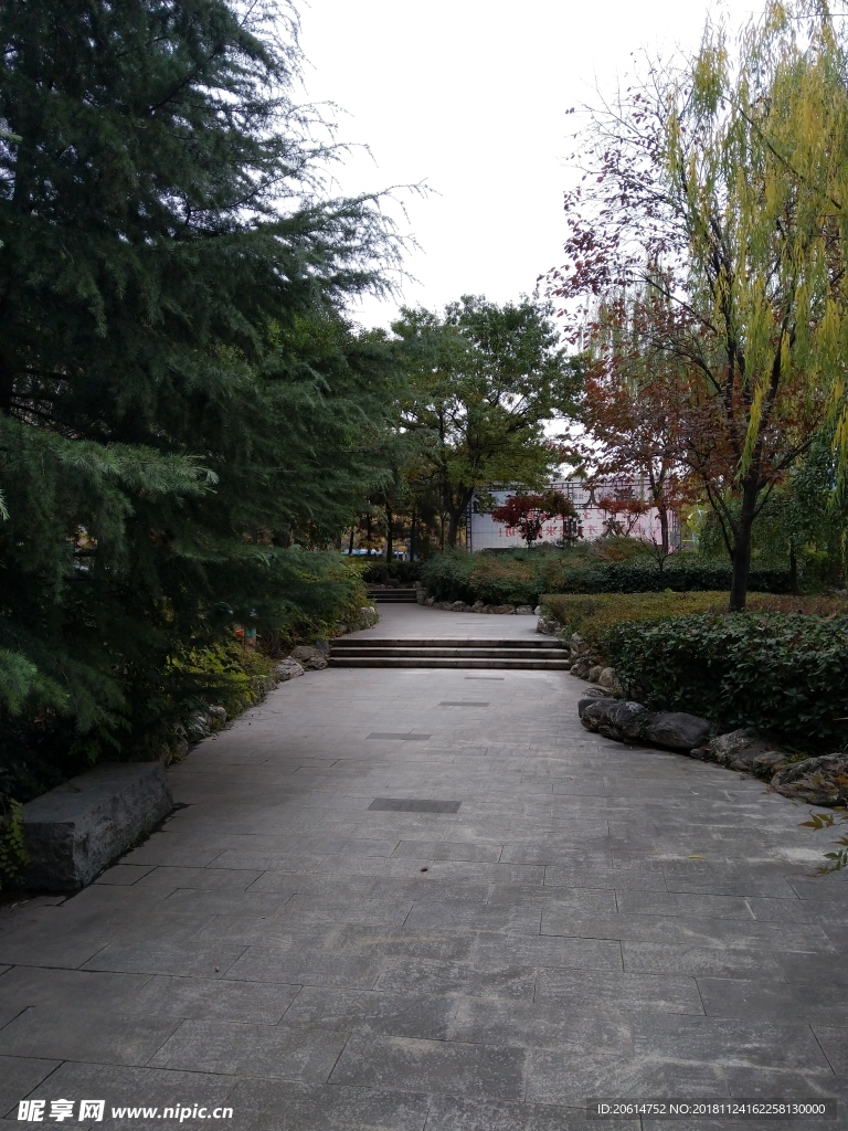 城市公园风景