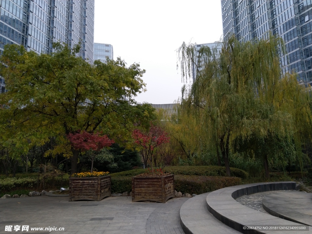公园风景