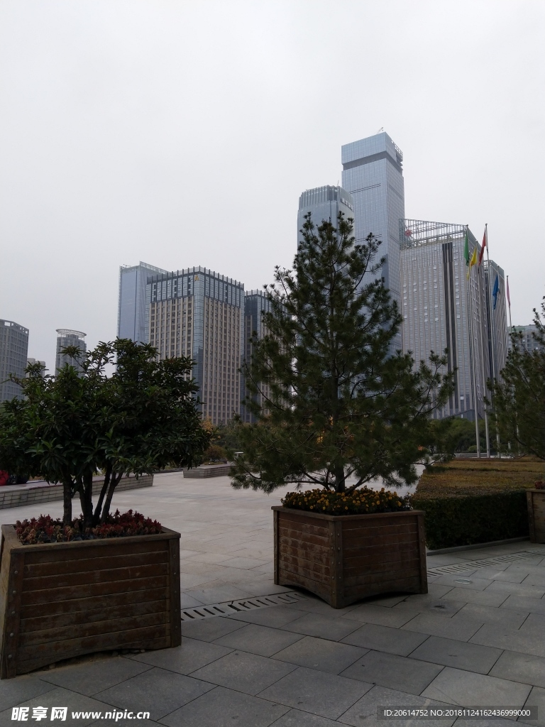 城市高楼风景