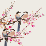 鸟