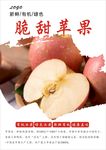 苹果海报