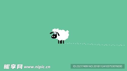 电脑壁纸