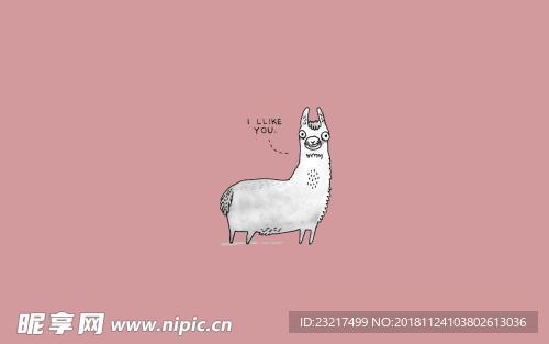 电脑壁纸