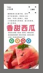 西瓜海报