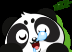 口水熊