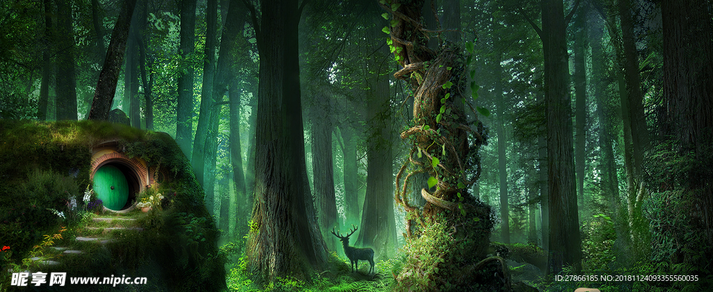 梦幻森林