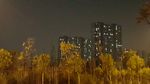 秋日夜景