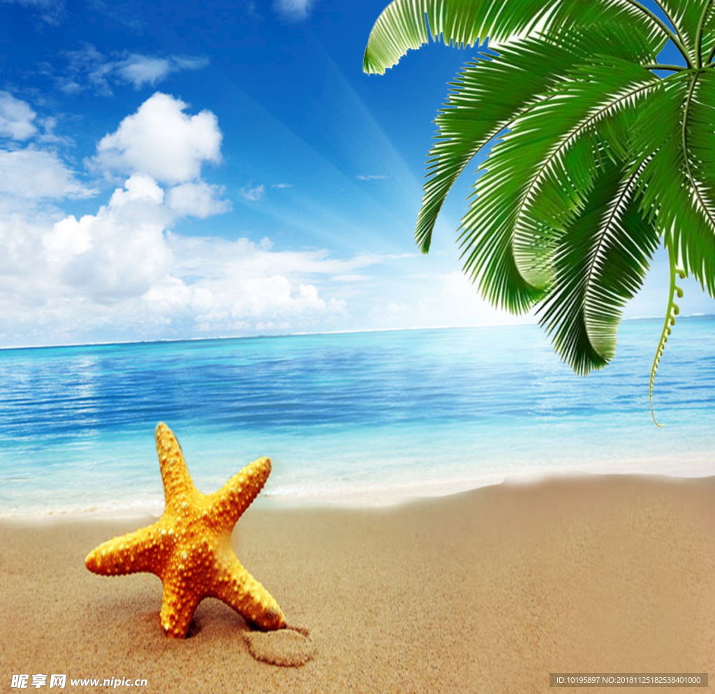 海滩 鱼缸背景