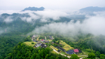 云雾山路