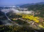 春到山乡