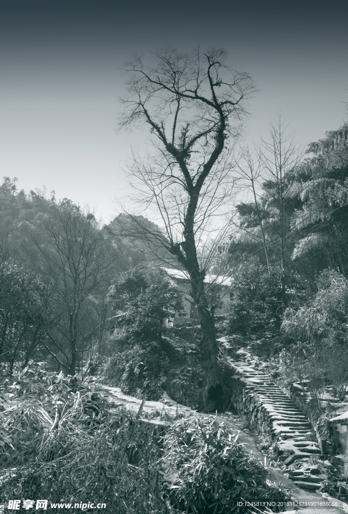 雪景