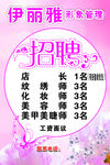 伊丽雅招聘