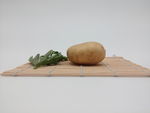 土豆