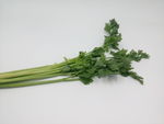 芹菜