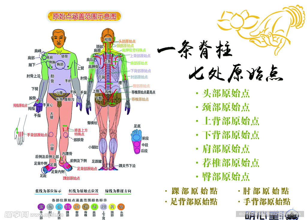 一根脊柱 七个原始点