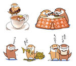 水獭
