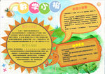 数学小报