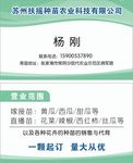 扶摇种苗