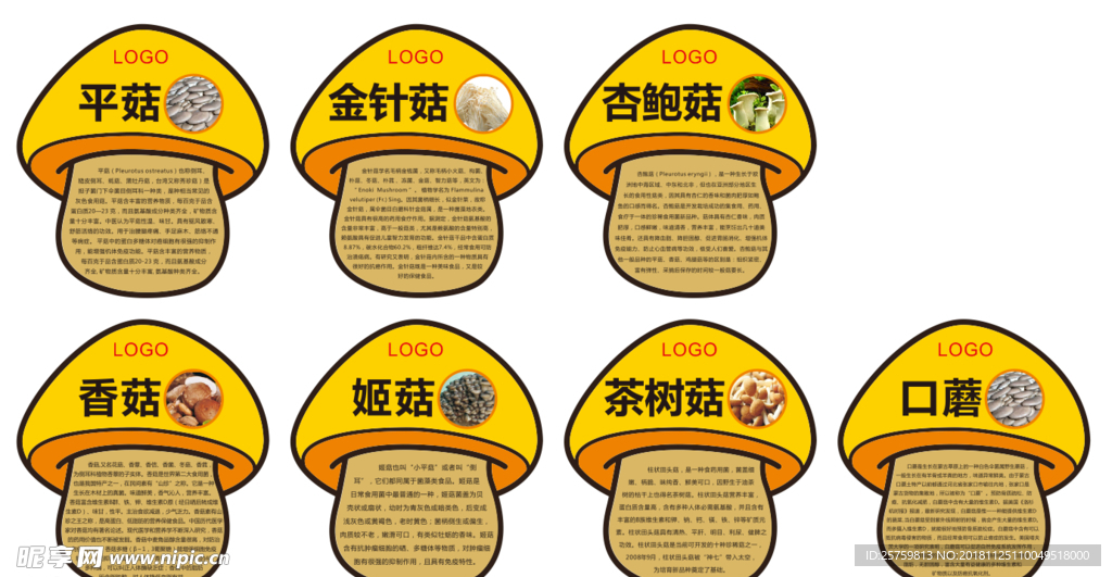 菌类功能介绍