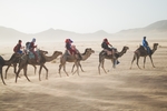 沙漠 骆驼 商人
