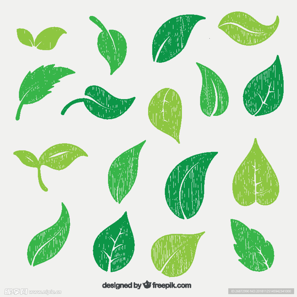 手绘绿色植物