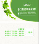 绿色名片
