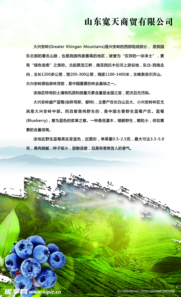 蓝莓