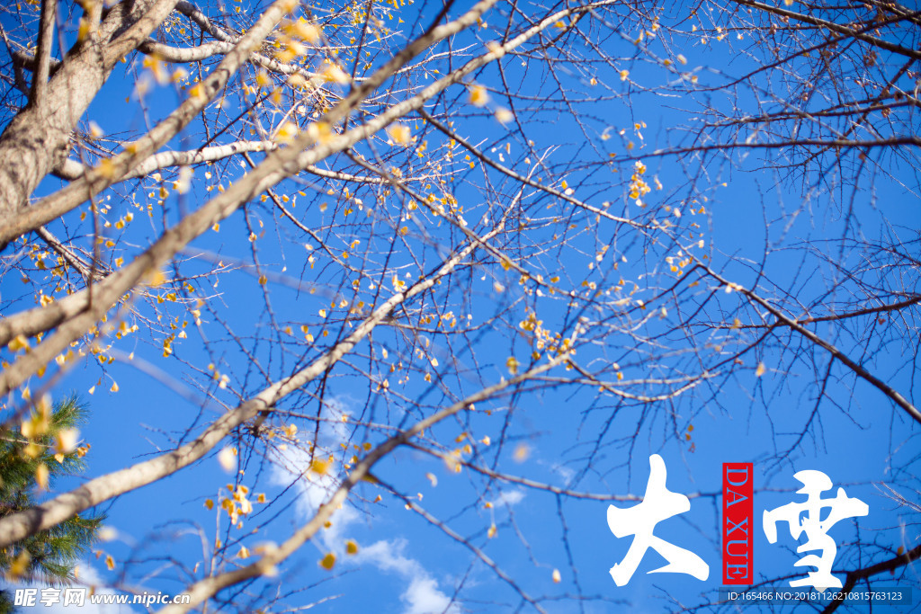 大雪