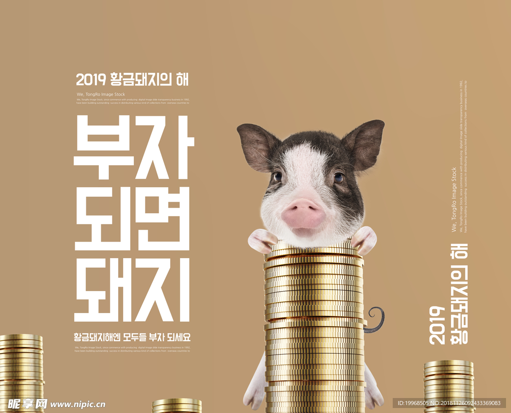 猪年海报 新年海报 猪年素材